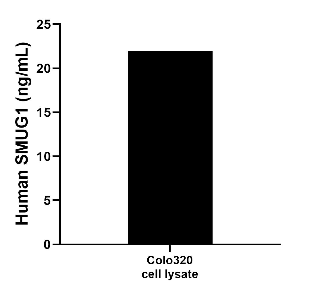 Sample test of MP00765-2